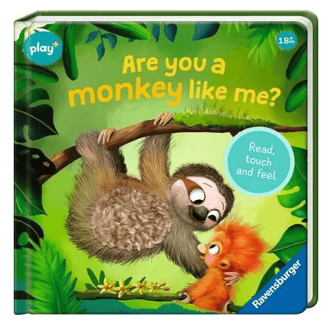 Wholesale Play+ Are you a Monkey like me from Harrisons Direct